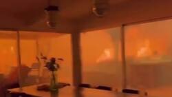 VIDEO | El momento en el que un incendio en California bordea la casa de un hombre junto a su perro: ya son más de 30 mil evacuados