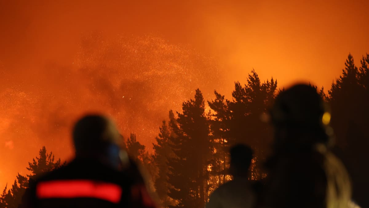 Quién es Rodrigo Vera, alcalde y figura clave en medio del combate de incendios en Penco