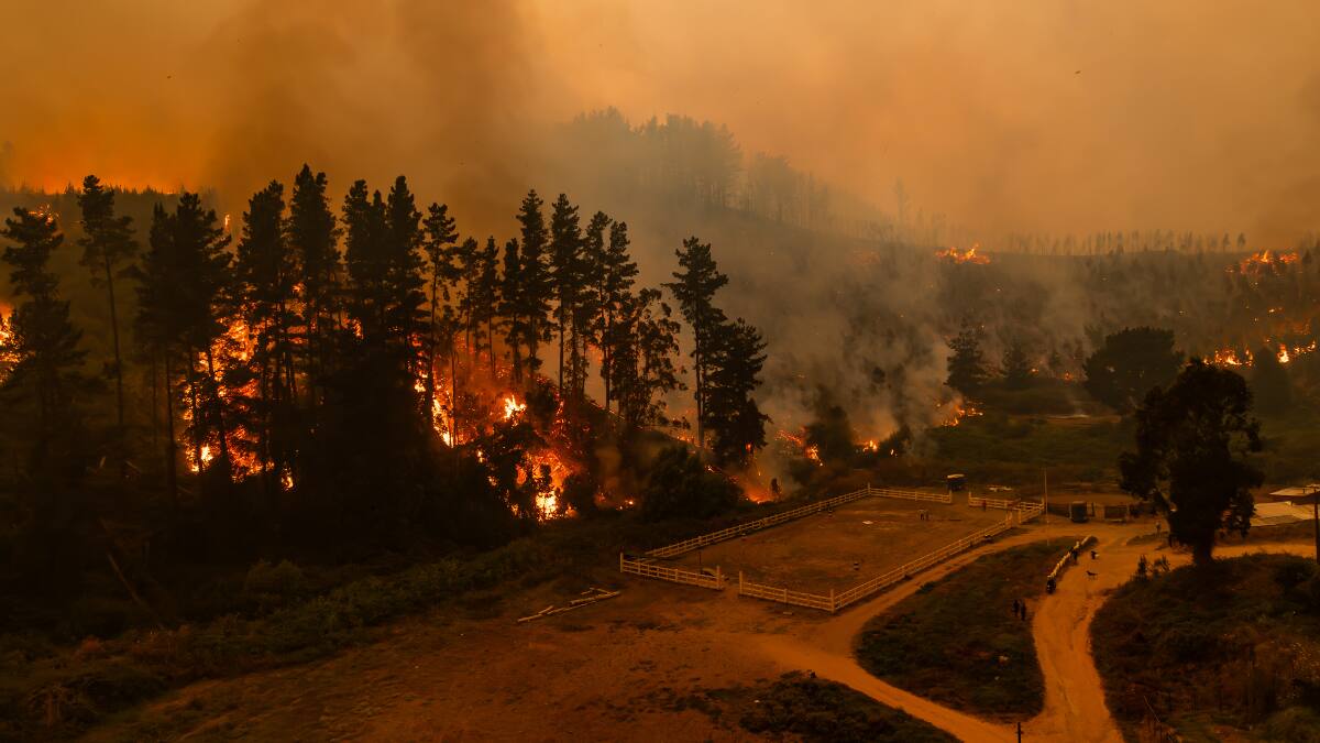 Incendios en Penco y Lirquén: Víctimas fatales confirmadas, zonas afectadas y toques de queda para HOY 19 de enero