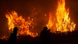Gobierno identificó a empresario que negó agua a piloto para combatir incendio