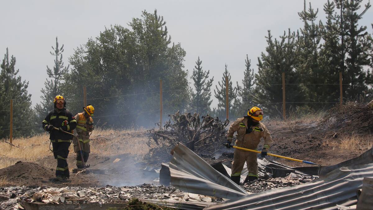 Gobierno anuncia Plan de Recuperación y Ayudas Tempranas con 13 medidas sociales para damnificados de los incendios forestales
