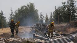 Gobierno anuncia Plan de Recuperación y Ayudas Tempranas con 13 medidas sociales para damnificados de los incendios forestales