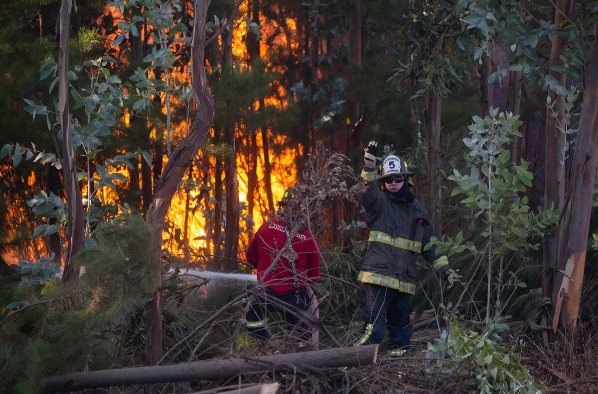VIDEO | “El ingenio del chileno”: Vecino puso aspersor de agua atrás de un camión y pasa por casas de Coronel para combatir incendios