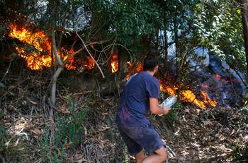 VIDEO | Incendios forestales: hay 70 en combate y 449 mil hectáreas consumidas