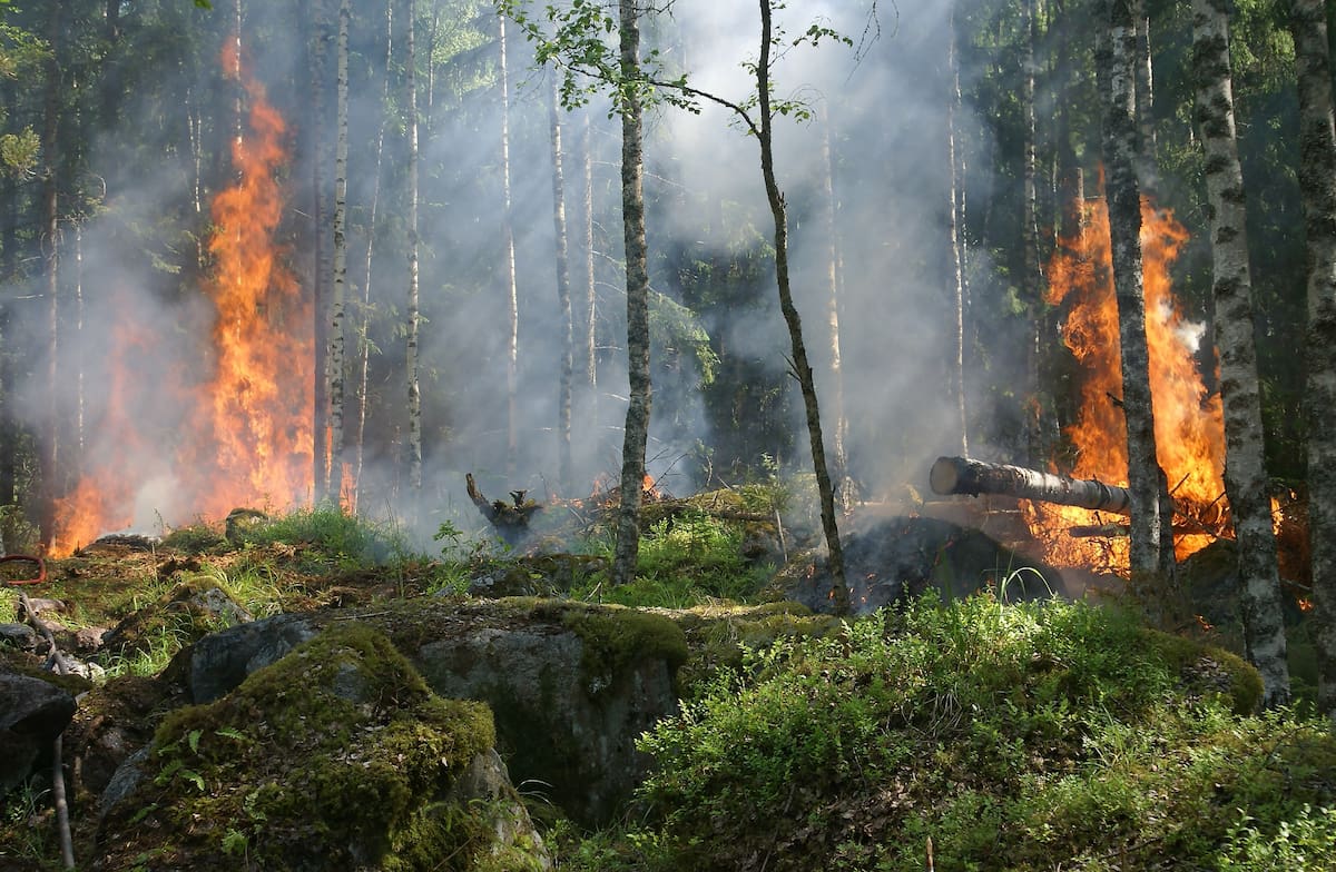 Esta es una de las consecuencias del cambio climático. Créditos: Pexels.