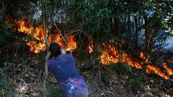 Riesgo de incendios forestales: Gobierno activa “botón rojo” en 6 regiones del país