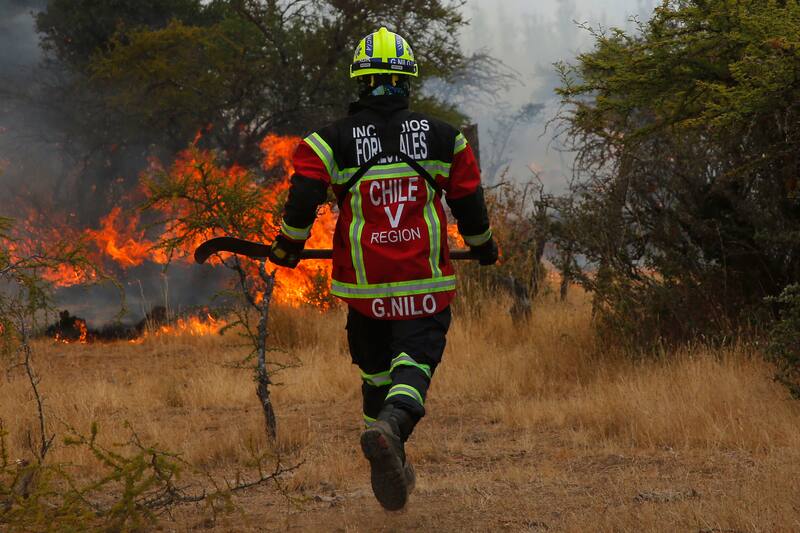 Conaf activa Botón Rojo para seis regiones del país.