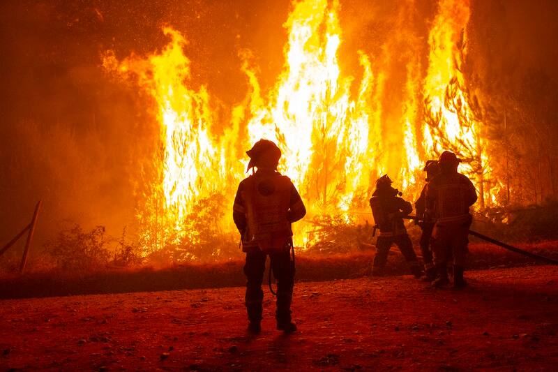 Los incendios forestales en Viña del Mar marcaron la jornada de las últimas semanas.