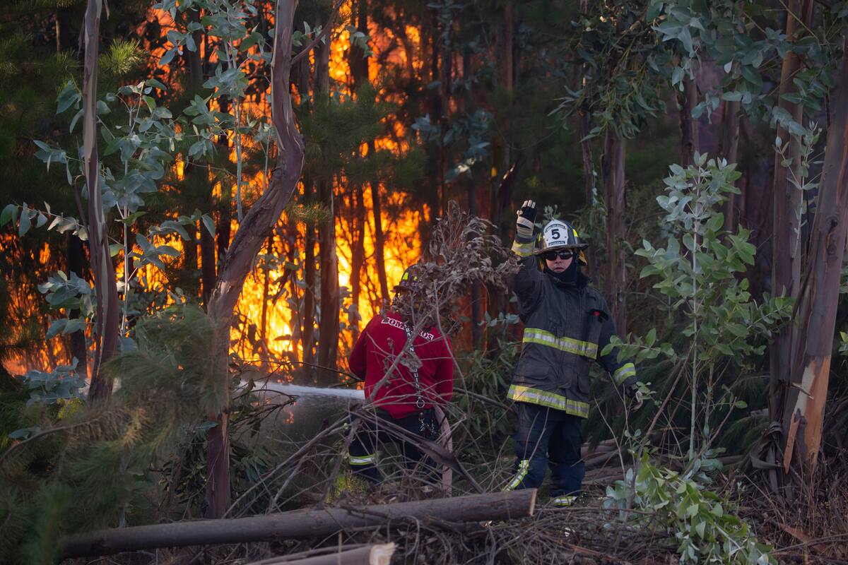 El fuego se acerca al centro recreativo Antu y el parque zoológico.