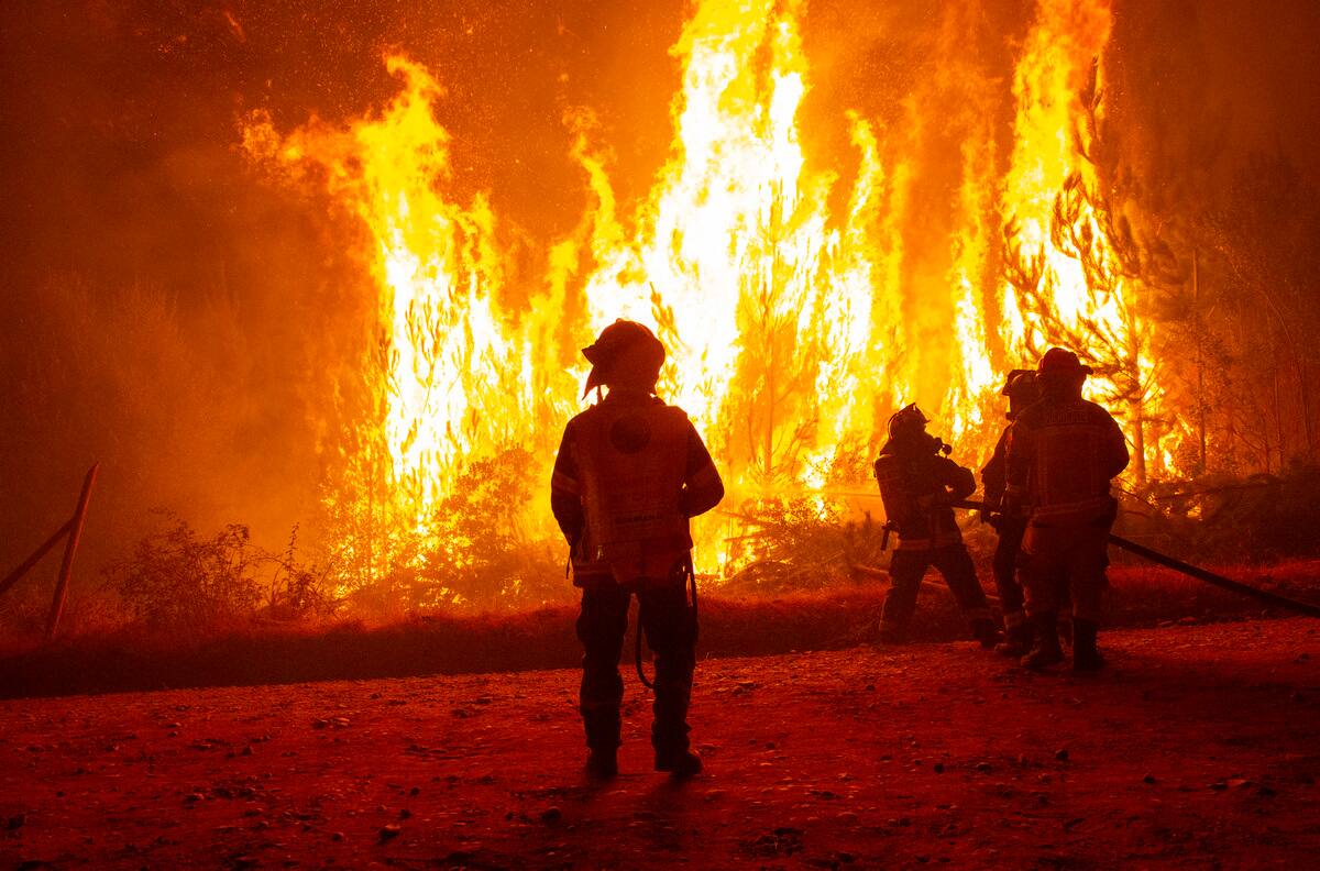 Incendios Forestales: Hombre y perrito se protegieron del fuego en un horno de barro