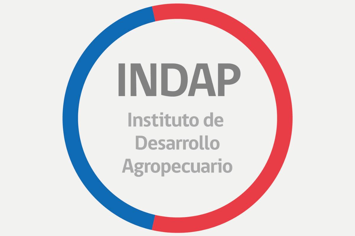 Conoce cómo postular a los trabajos que tiene el INDAP.