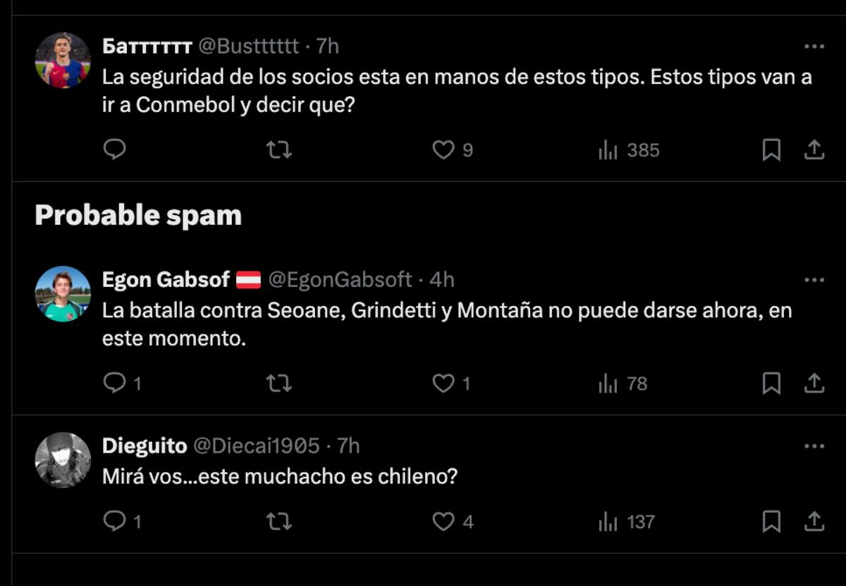 Hinchas cuestionaron las declaraciones de Daniel Seoane.