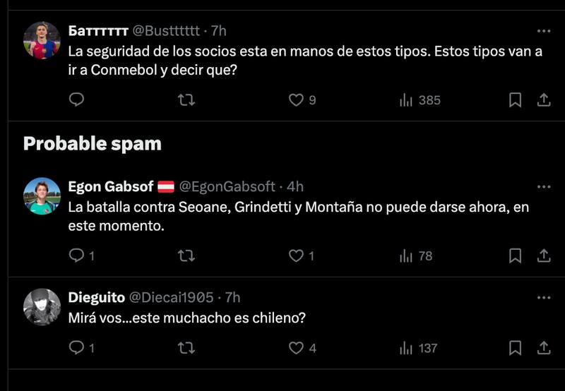 Hinchas cuestionaron las declaraciones de Daniel Seoane.