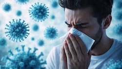 Tras confirmarse el primer caso en Chile: Estos son los principales síntomas de la influenza H3N2