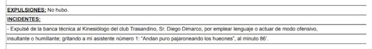 El ataque del kinesiólogo de Trasandino a los árbitros