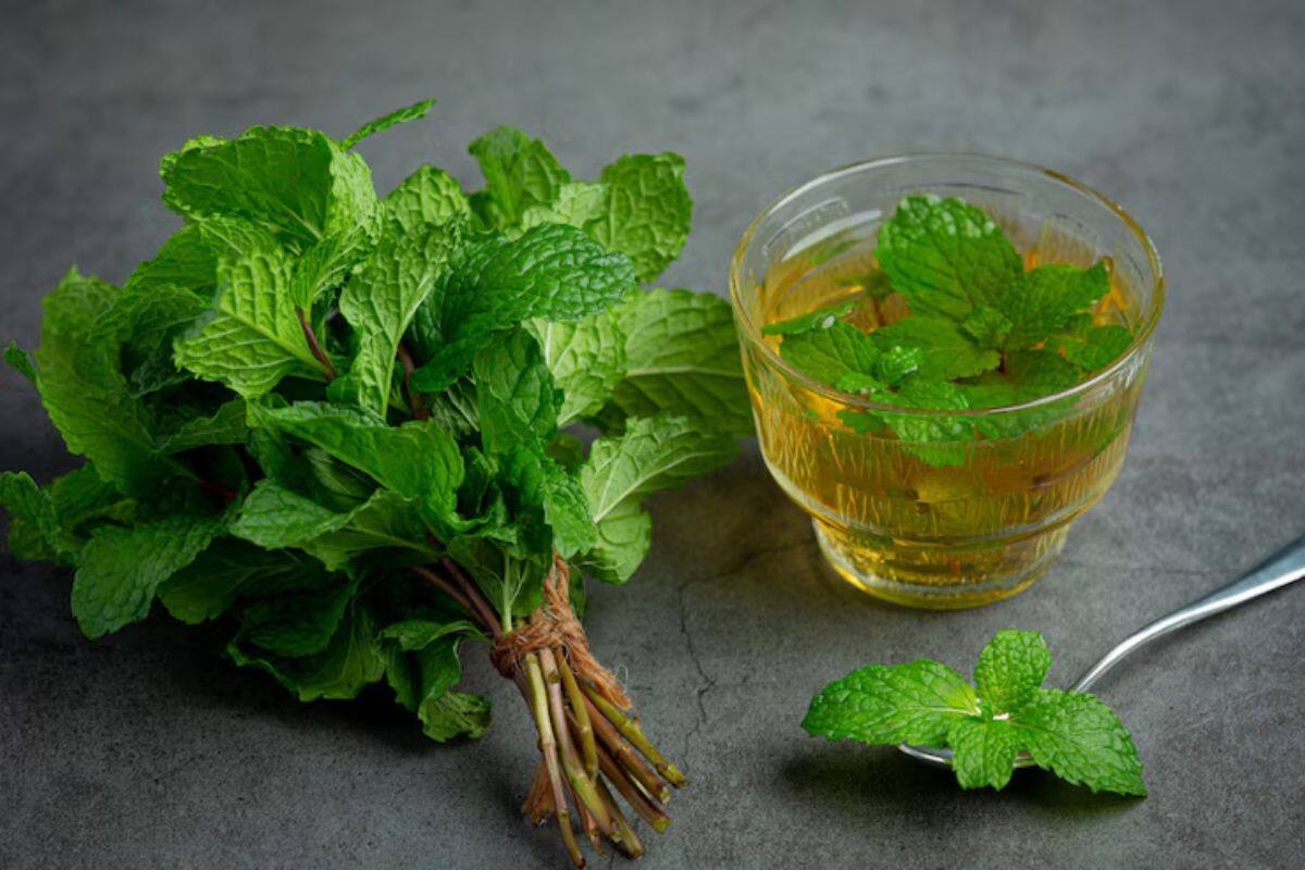 Este remedio casero te ayudará a regular la hormona del estrés.