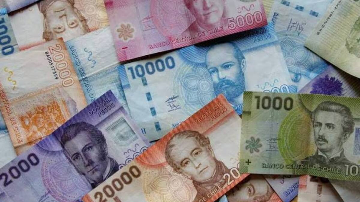 Consulta con tu RUT si recibirás los últimos $78.000 del Ingreso Mínimo Garantizado