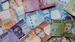 Consulta con tu RUT si recibirás los últimos $78.000 del Ingreso Mínimo Garantizado