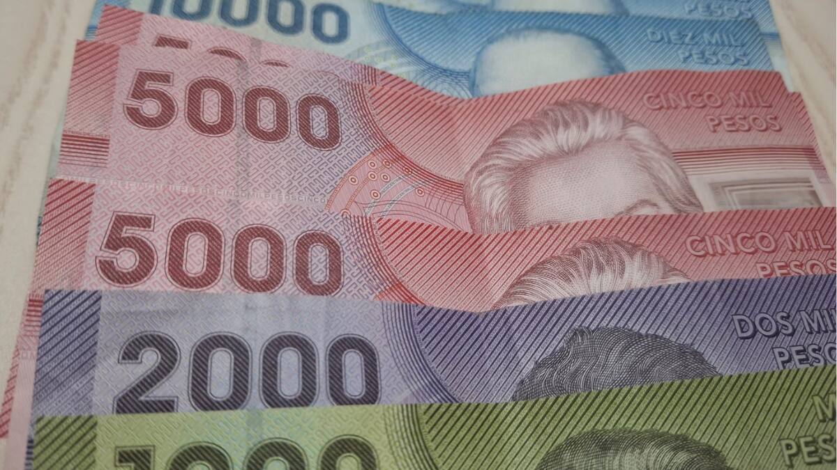 Conoce con tu RUT si tienes pendiente de cobro el bono de $78.000 que entregó el Estado