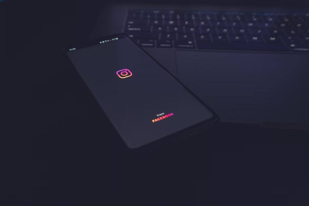 Conoce cómo puedes rescatar tu contenido.