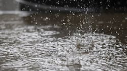 “Lluvias dignas del invierno ya casi en verano”: Alejandro Sepúlveda revela dónde caerían precipitaciones este fin de semana