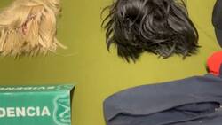 VIDEO | Usaron pelucas para robar un minimarket en Independencia pero los capturaron