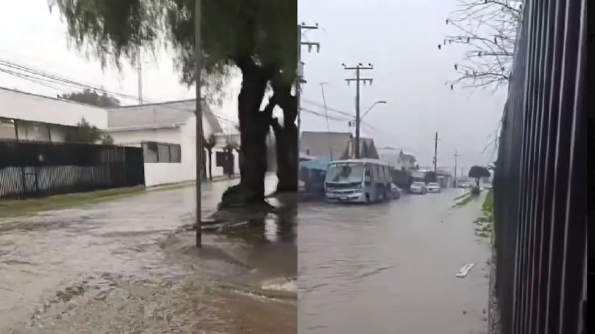 VIDEOS | Reportan inundación en calles y casas de Parral: Cientos de hogares se han visto afectados por el sistema frontal