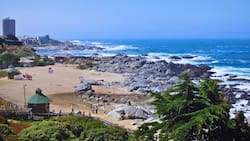¿Cuánto cuesta viajar a Isla Negra desde Santiago? Precio de los pasajes, alojamiento y panoramas en la Región de Valparaíso