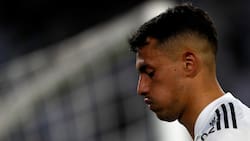 “Felipe Loyola y Carlitos Palacios entendieron a la perfección todo lo del fútbol argentino”