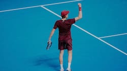 Jannik Sinner ganó el ATP de Viena en un duelazo y sigue a la caza de Alcaraz por el N° 1