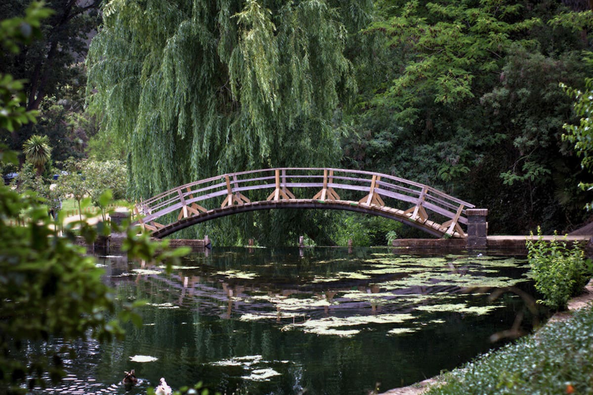 El panorama ideal para ir en compañía y desconectarse de la ciudad. Créditos: jbn.cl.