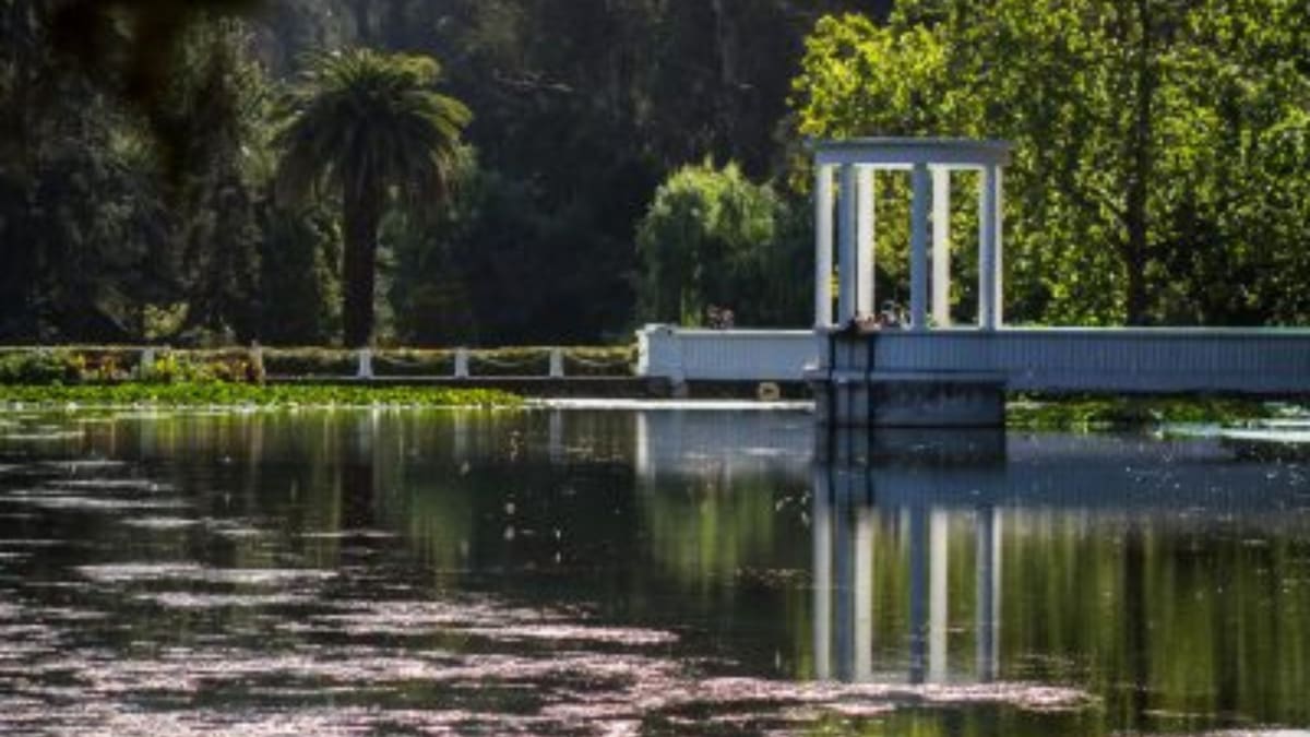 Jardín Botánico Nacional, una parada obligada en Viña del Mar: Ubicación, precios, horarios y más detalles de este gran panorama