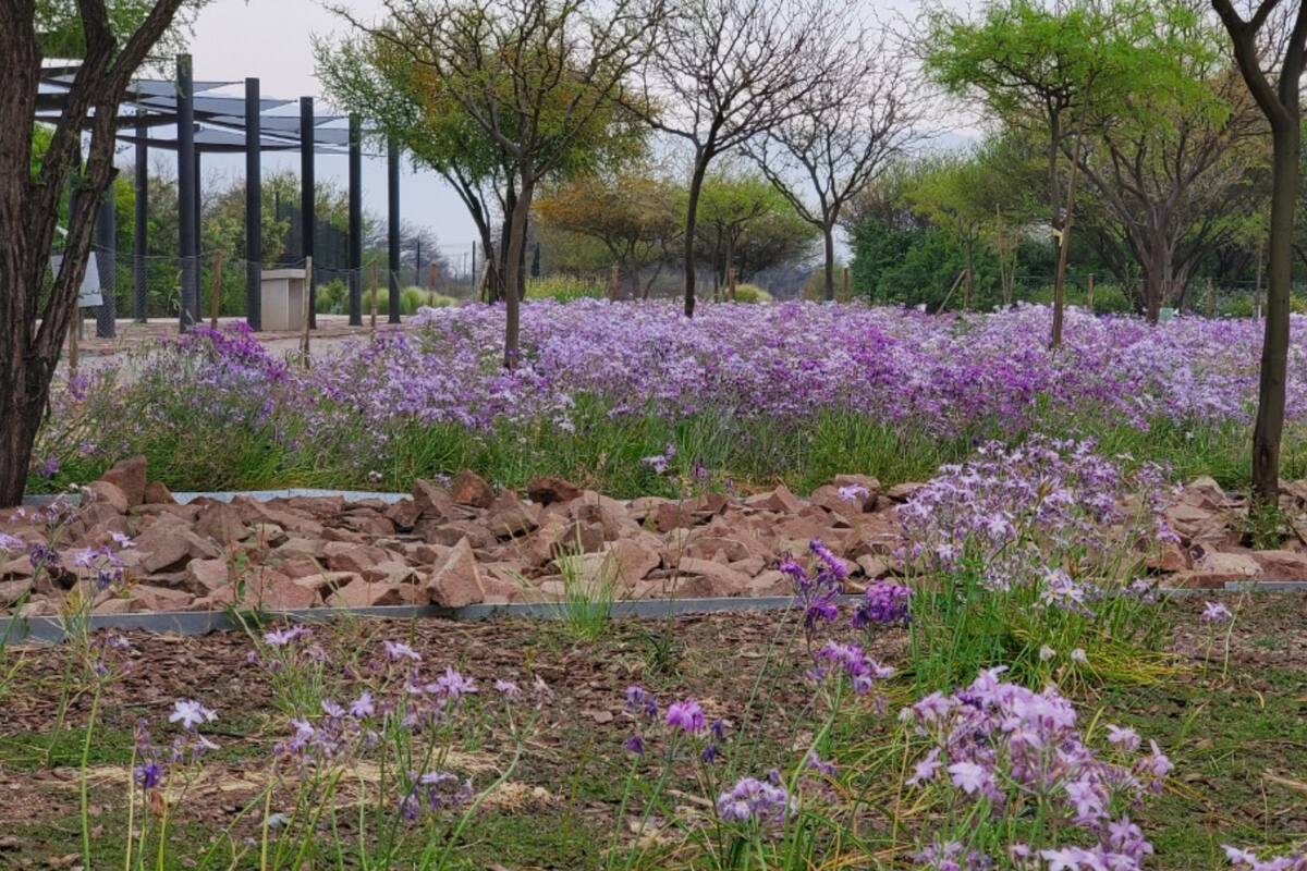 Este recinto es ideal para pasear en las tardes de verano.