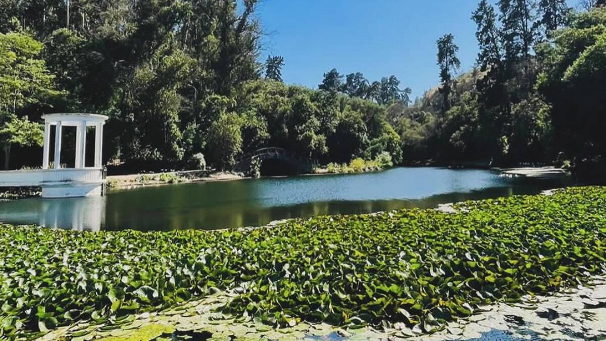 La reconstrucción del Jardín Botánico se financiará con un evento solidario: Así puedes comprar tu entrada