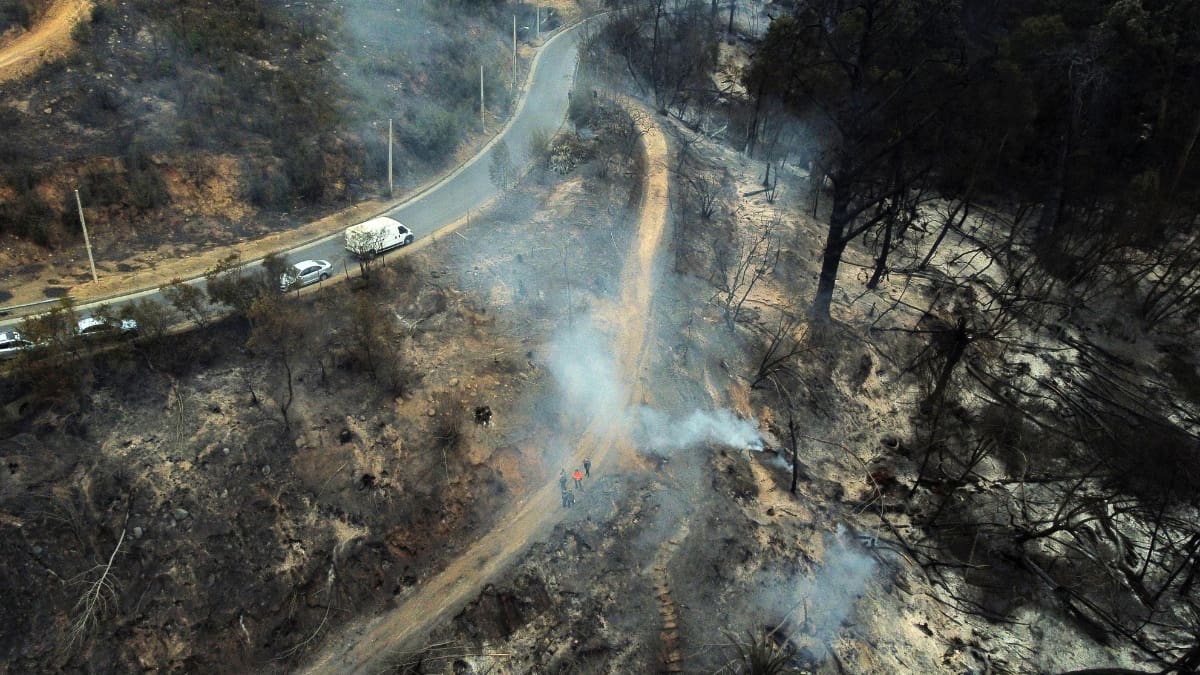 Alerta por rebrote de incendio forestal al interior del Jardín Botánico de Viña del Mar