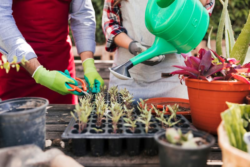 En el lugar habrán actividades para toda la familia, charlas educativas sobre el cuidado de plantas, foodtrucks, entre otros. Créditos: Freepik.