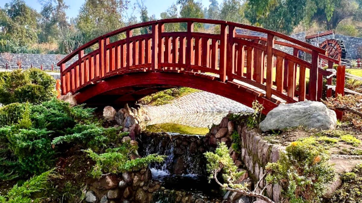 Conoce este jardín japonés oculto y gratuito en Santiago: Ubicación, horario y cómo llegar