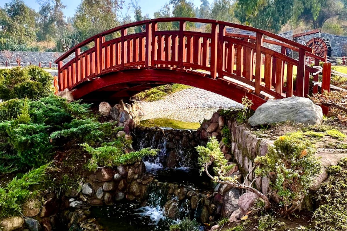 Este lugar oculto de la capital es perfecto para visitar durante el otoño, permitiendo admirar cada rincón mientras disfrutas del color de las hojas de los árboles. Créditos: Google Maps.