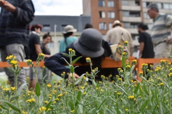 Imperdible en la Región Metropolitana: Visita estos jardines secretos del centro de Santiago de forma gratuita