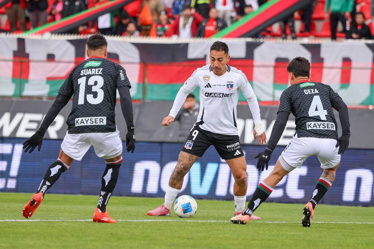 en Colo Colo vs Palestino. Foto: Felipe Escobedo