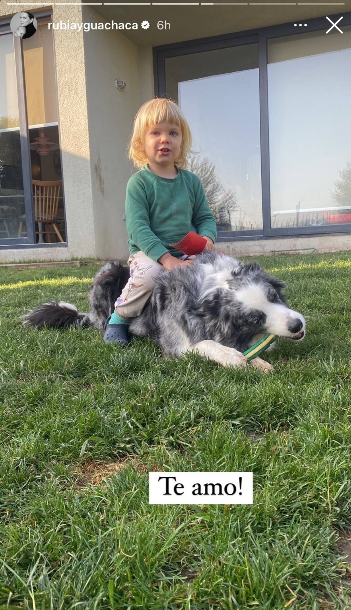 Otra postal de Kai compartida por Javiera Acevedo / Instagram