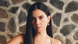 Quién es Javiera Mena, destacada cantante chilena