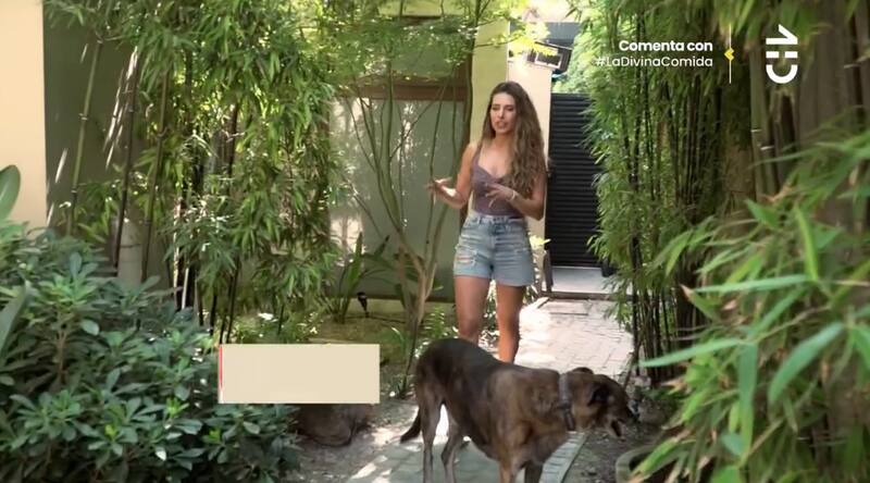 El rincón favorito de su casa / CHV
