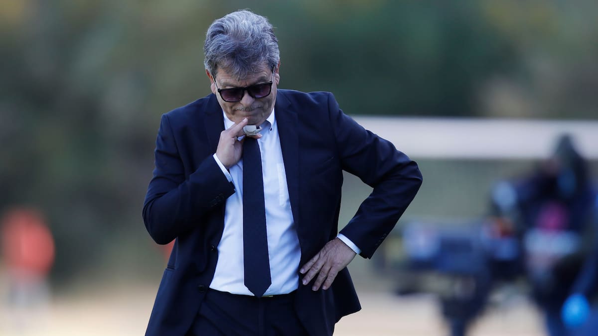 Dos veteranos de la política, un “hijo de tigre” y un ex DT de La Roja: los candidatos deportivos al Congreso