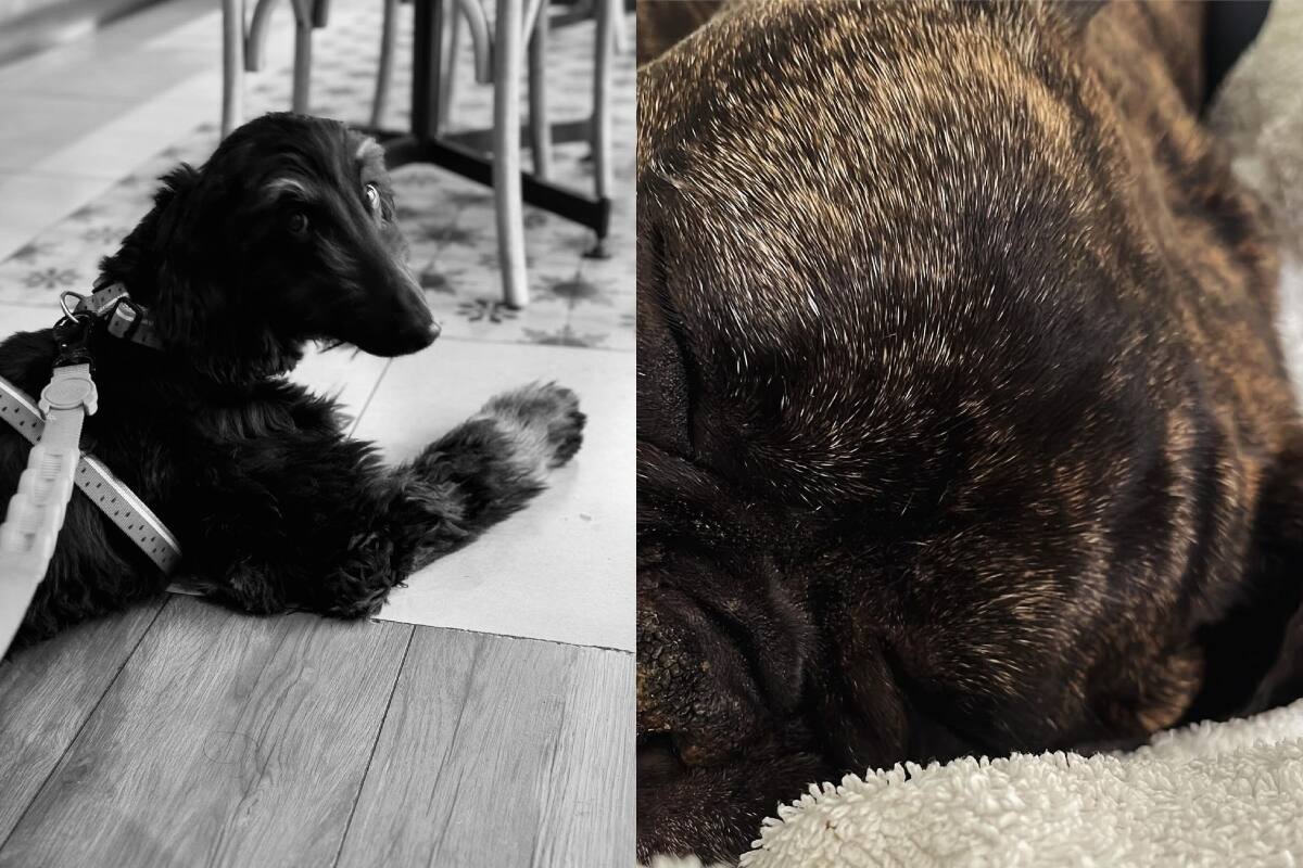 Las fotos que subió José Antonio Neme en su Instagram