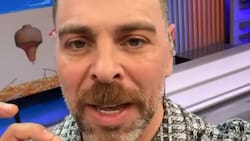 “Yo entiendo que no quiera volver”: José Antonio Neme sale en defensa de Juan Manuel Astorga tras salida de la TV