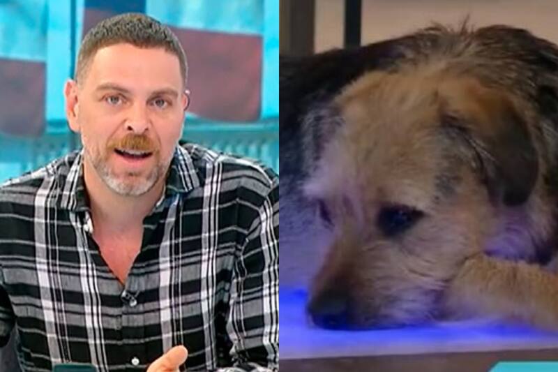 José Antonio Neme criticó con todo a "Gran Hermano" Chile.