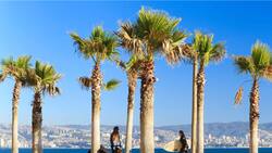 A menos de dos horas de Santiago: la joya costera de arenas doradas perfecta para cerrar el verano