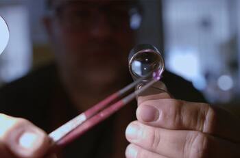 Popular vino chileno escondió una joya de 10 millones de pesos en su interior: ¿Quién puede ganarla?