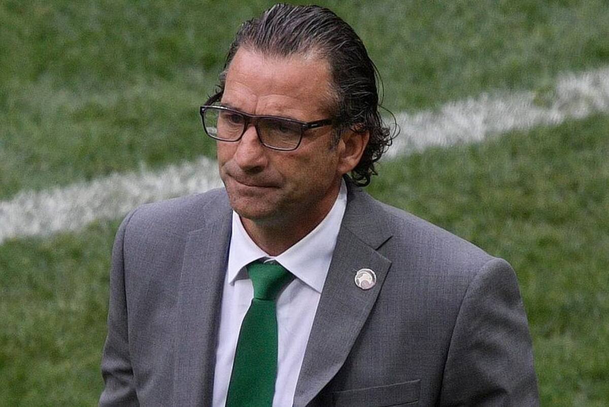 Macanudo volverá a dirigir en Medio Oriente